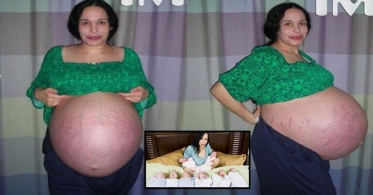 Lembra dela? A mãe polvo que deu a luz a oito crianças em 2009 está muito diferente e seus filhos chamam atenção