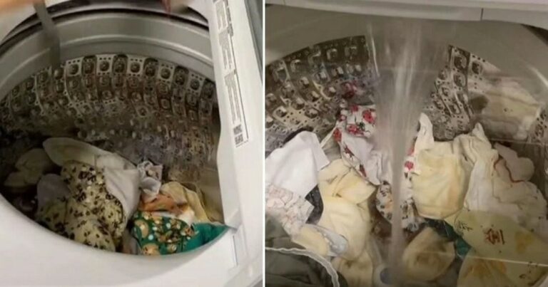 Mãe lava fraldas do bebê somente uma vez por semana e garante que ficam devidamente limpas