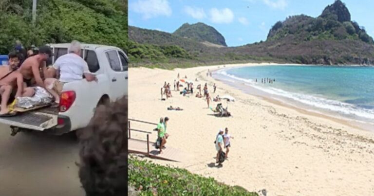 Tubarão ataca menina de 10 anos em Fernando de Noronha