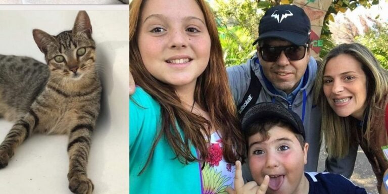 O gato da família em Petrópolis ajuda na busca de vítimas e o que encontrou foi comover qualquer um