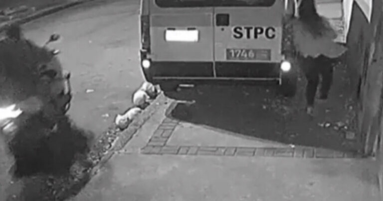 Vídeo: Mulher ‘dribla’ criminosos no Rio e se esconde debaixo de van para fugir; cena viraliza nas redes sociais