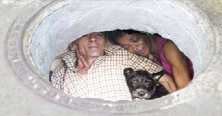 Casal vive há 30 anos dentro de um bueiro; A casa deles vai te deixar de coração partido; tente não se emocionar
