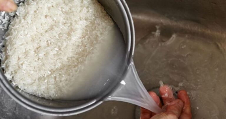 Lavar o arroz antes de cozinhar: o porquê você não deve fazer mais isso