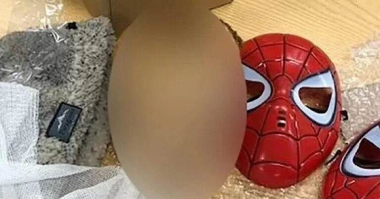 Cabeça de criança é achada em máscara do homem-aranha e seria enviada pelo correio