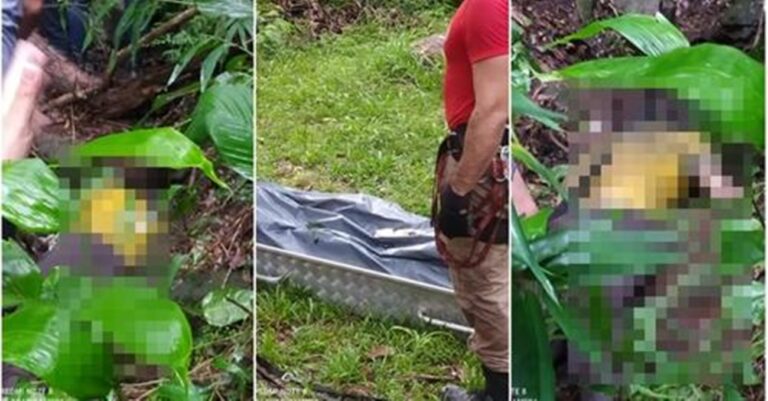 Homem é comido por onça e restos mortais são encontrados em mata de MT