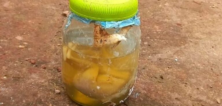 Feto é encontrado em meio a materiais recicláveis no Paraná