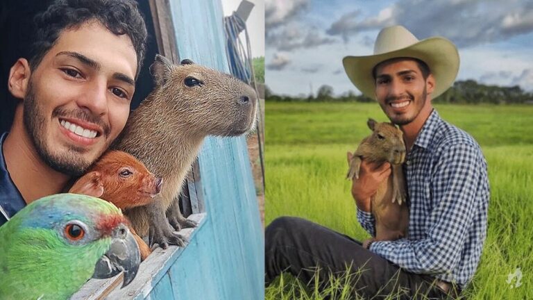 Justiça manda Ibama devolver capivara Filó para Agenor após animal ficar em cativeiro