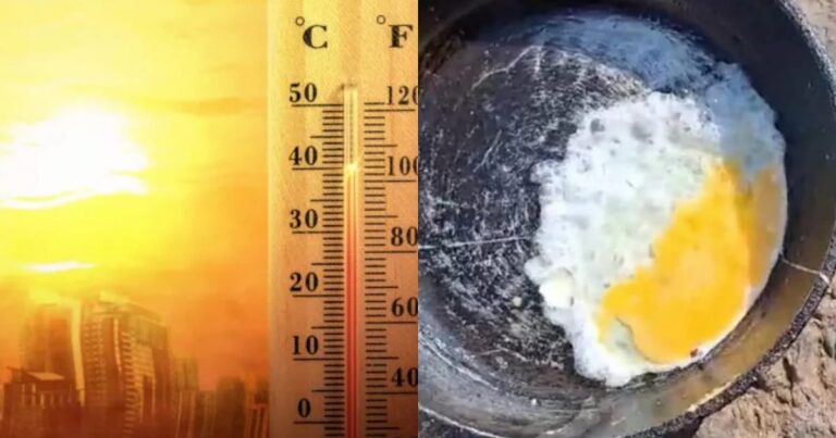 Morador ‘frita’ ovo em frigideira no meio da rua e impressiona com altas temperaturas; vídeo