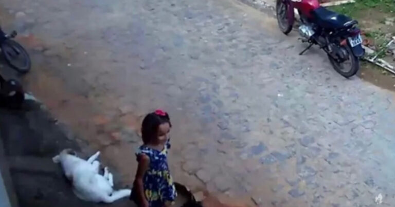 Como a polícia chegou ao suspeito do sumir com Ana Sophia na PB
