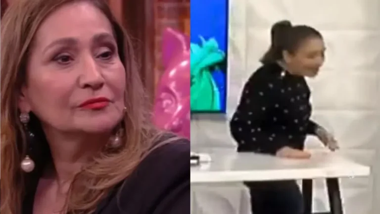 Sonia Abrão grita após levar tombo ao vivo e causa espanto entre os colegas de bancada