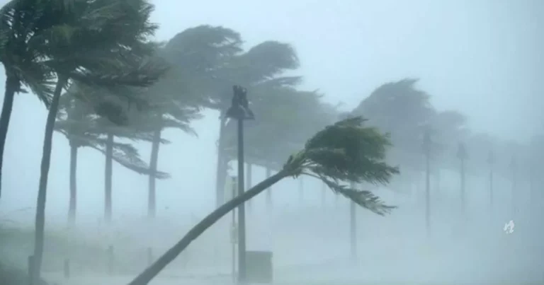 Chuva de 200 mm e ventos intensos: São Paulo entra em alerta para tempestades
