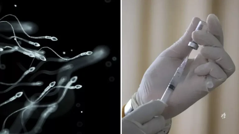 Cientistas começam a testar anticoncepcional masculino em humanos