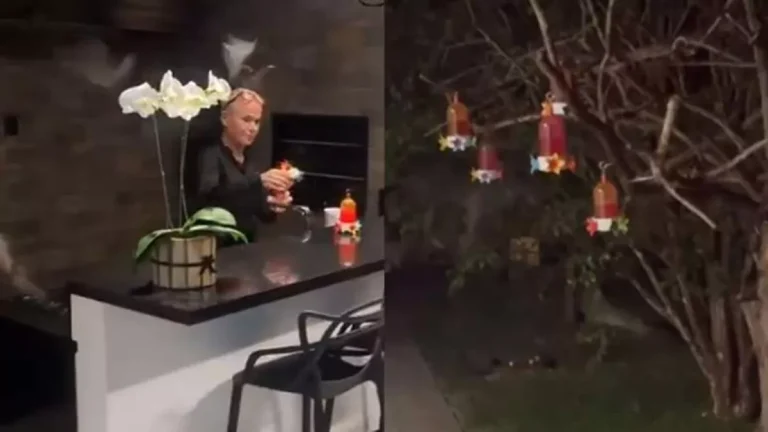 Xuxa Meneghel é detonada por exibir criação de morcegos em casa: Ficou maluca