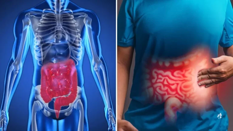 Comer após o banho faz mal? Entenda os mitos e verdades sobre a digestão