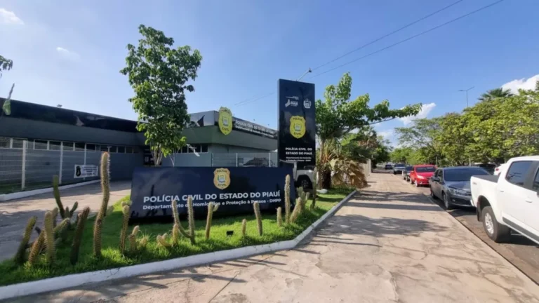 Dois adolescentes são apreendidos suspeitos de assassinar mulher por vingança em Teresina