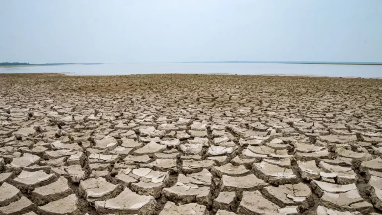 Brasil registra quase 500 municípios em seca severa ou extrema