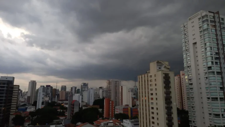 Temperatura em São Paulo: capital paulista volta a registrar 0°C