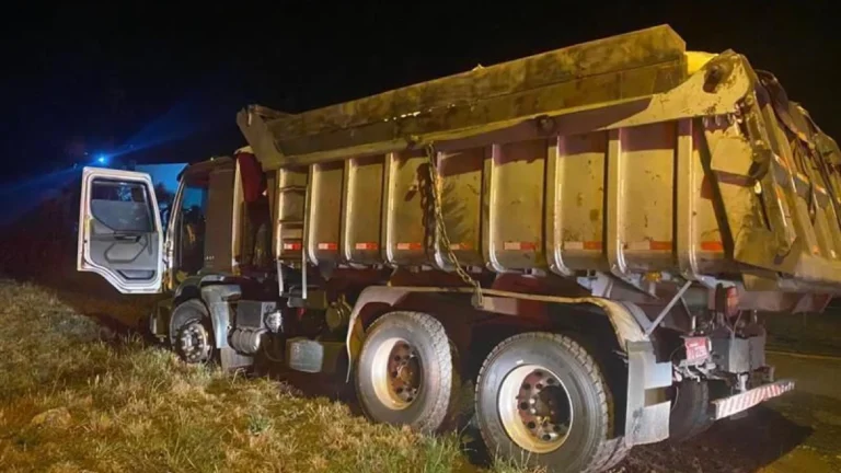 PF apreende caminhão com 7 toneladas de camarão e prende motorista em SC