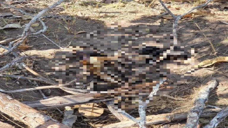 MISTÉRIO! Polícia encontra ossada humana com sinais de tortura e decapitação
