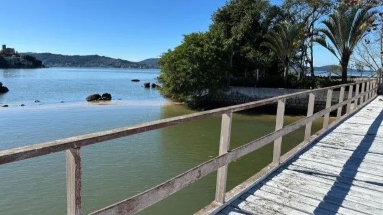 Ilha em Florianópolis será leiloada por metade do valor após ordem judicial