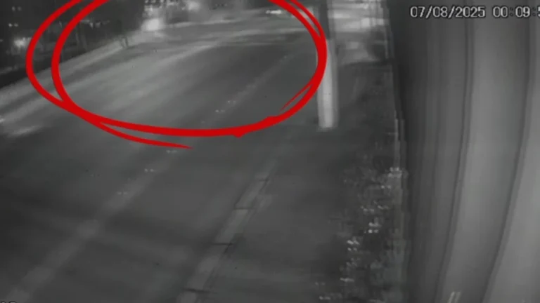 Vídeo: motorista de BMW morre após carro cair em córrego na zona sul de SP