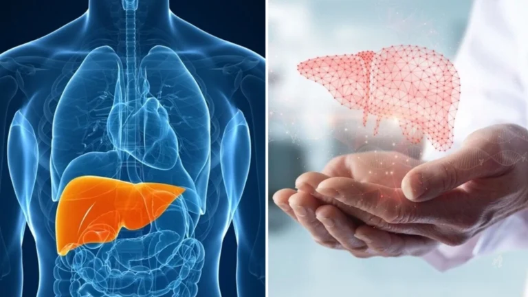 4 hábitos simples que ajudam a melhorar a saúde do fígado