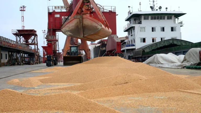 EUA perdem vendas de soja para China, enquanto Brasil ocupa abastecimento