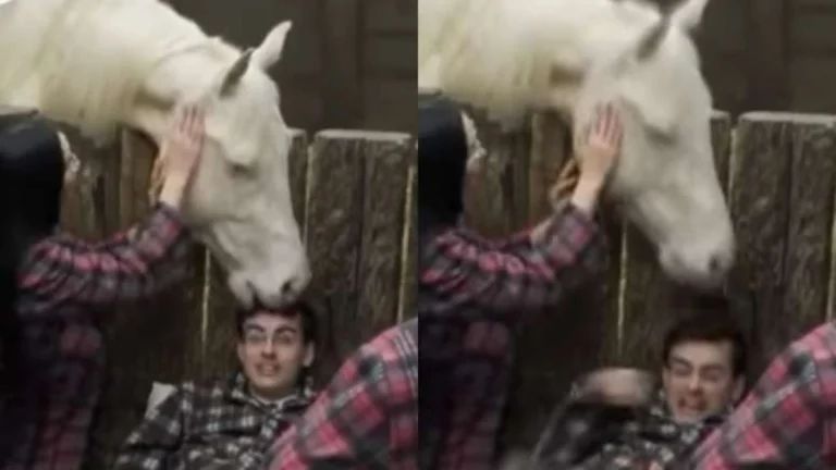 A Fazenda: VÍDEO! Cavalo morde a cabeça de Dudu Camargo e jornalista se desespera