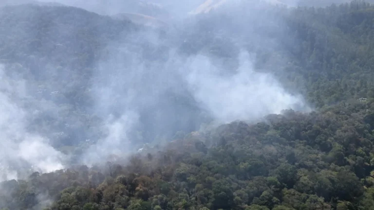 Em meio a tempo seco, SP registra 7 focos de incêndio em vegetação