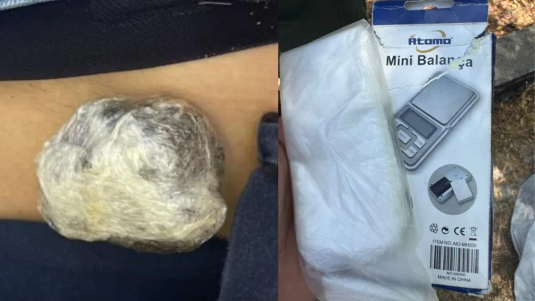 Tiroteio em escola no CE: vítima foi encontrada com droga, diz secretaria