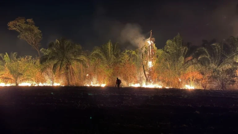 Incêndio em parque na região do Pantanal cresce e cidade pede ajuda