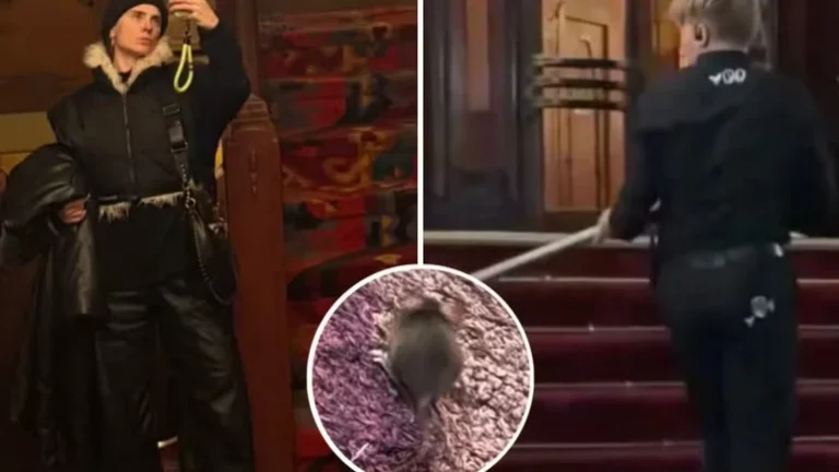 Carolina Dieckmmann se desespera com rato dentro de cinema: Meti o pé