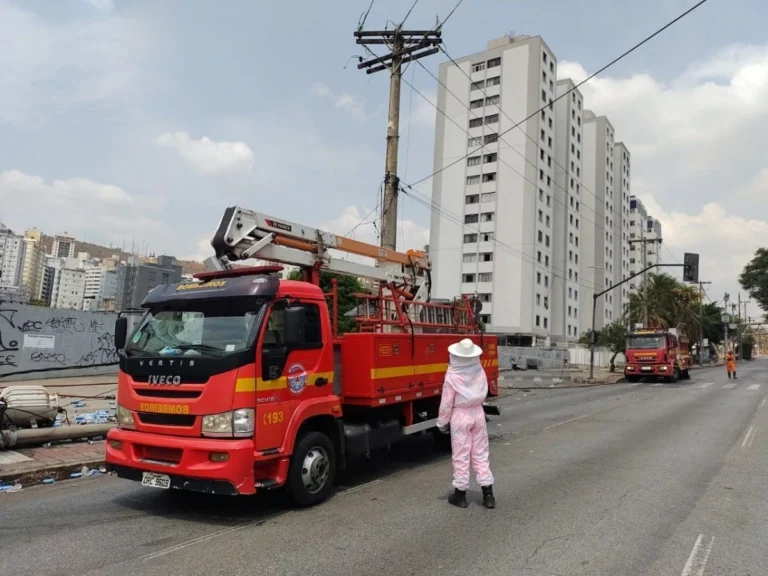 Idosas sofrem acidente de carro e são atacadas por abelhas em MG