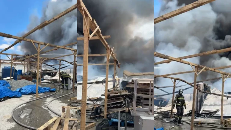 Incêndio atinge depósito de madeira e produtos químicos na zona Norte de SP