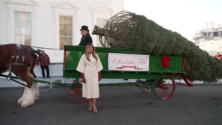 Melania Trump recebe árvore de Natal oficial da Casa Branca de 2025
