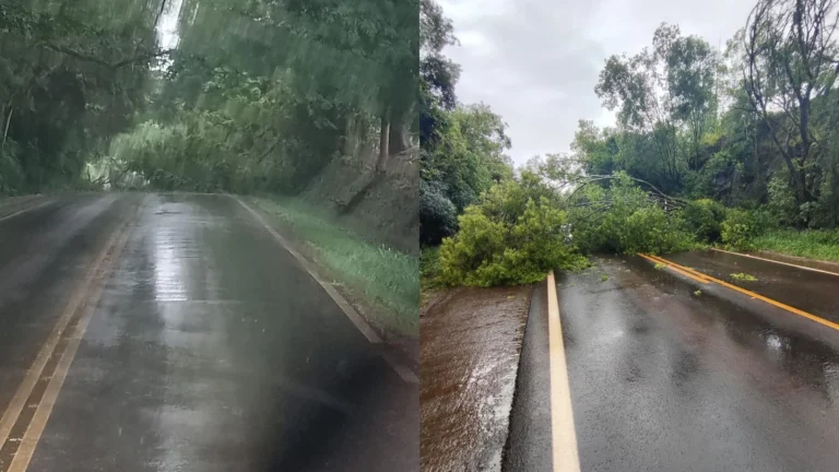 Temporais causam prejuízos em pelo menos 10 municípios gaúchos