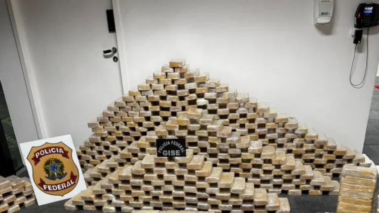 SC: Polícia Federal apreende mais de 600 kg de cocaína escondida em bunker