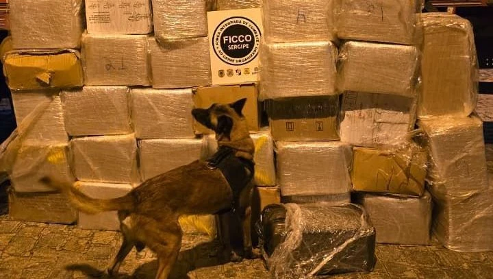 Caminhões com mais de uma tonelada de maconha são apreendidos em Sergipe