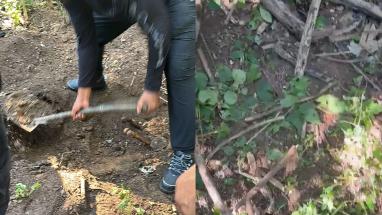 Polícia localiza cemitério clandestino e uma pessoa é presa no Rio