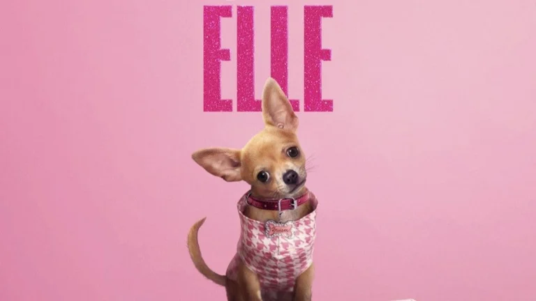 “Elle”: confira o que já se sabe sobre o spin-off de “Legalmente Loira”