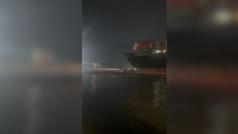 MPF investiga colisão entre navio e balsas no Porto de Santos (SP)