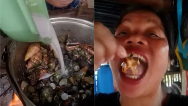 Influenciadora morre após comer caranguejo venenoso