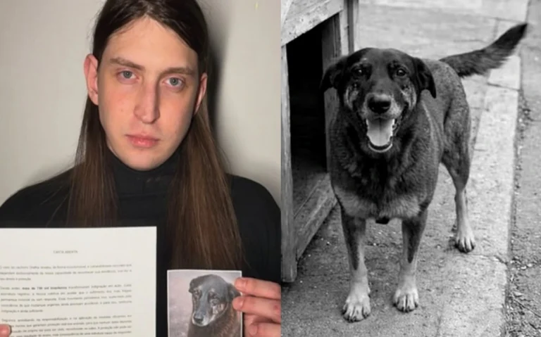 Felca publica carta sobre o cão Orelha e denuncia maus-tratos