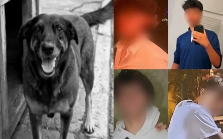 Caso Orelha: Família de adolescente que não foi indiciado se pronuncia