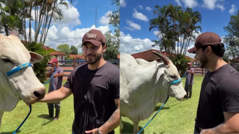 Murilo Huff se encontra pela 1ª vez com vaca de R$ 54 milhões que comprou