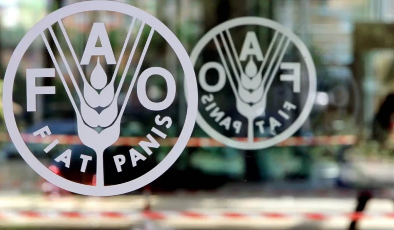 Brasília sedia evento da ONU sobre alimentação na América Latina