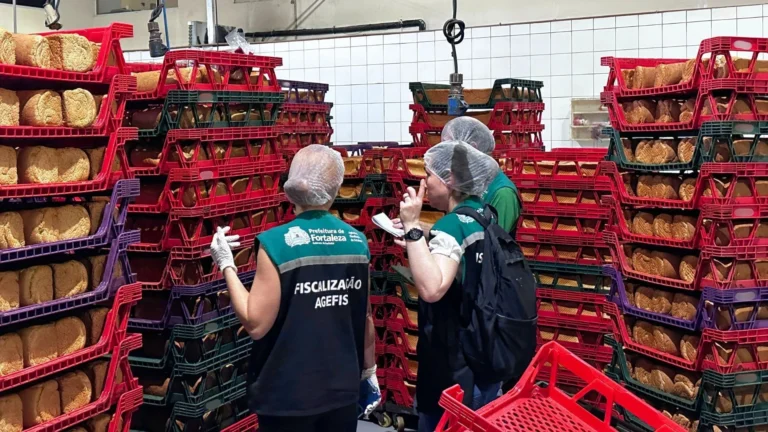 Indústria de pães de lanche é interditada após infestação de baratas no CE
