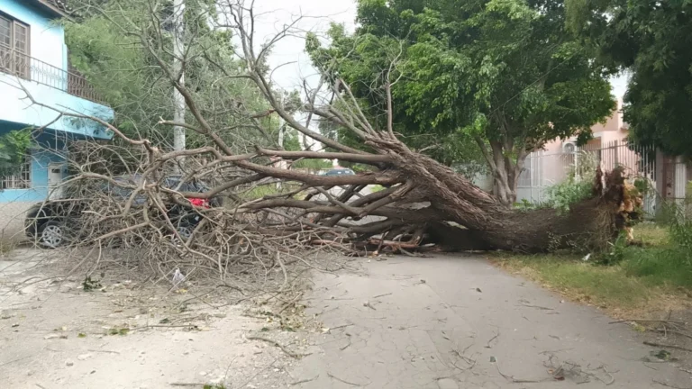 Ventos de 85 km/h atingem o RS e 6 mil pessoas ficam sem energia