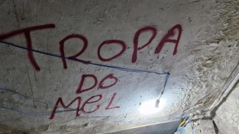 Grupo de “Abelha”, do CV, é alvo da Operação Colmeia no Rio