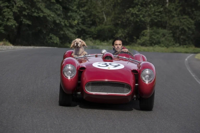 “Meu Amigo Enzo”: protagonista é inspirado em Ayrton Senna